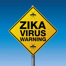 Zika Virus Essay