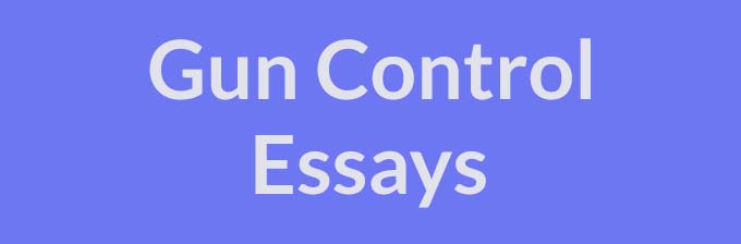 Gun control essay outline generator